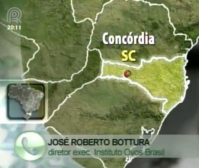 Diretor Executivo do Instituo ovos Brasil fala sobre o mercado de ovos