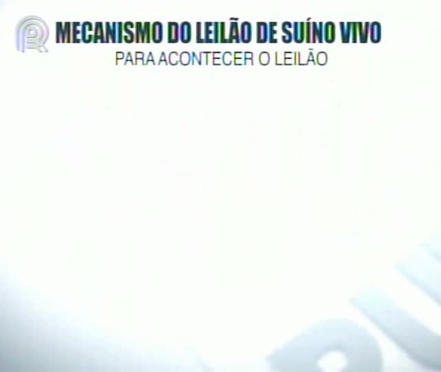 Ajuda do governo chega tarde aos suinocultores