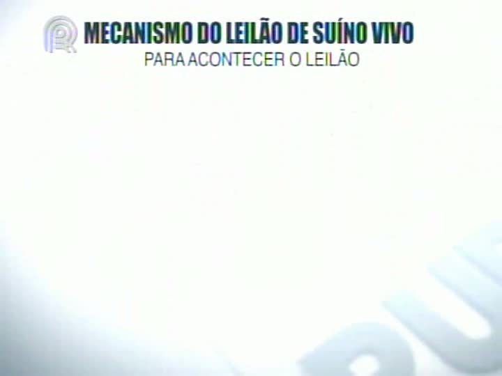 Ajuda do governo chega tarde aos suinocultores