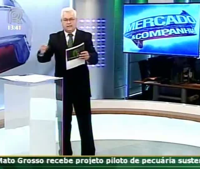 Especialista fala sobre controle de pragas em lavouras de milho