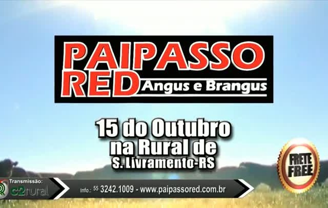 Leilão PaiPassoRed