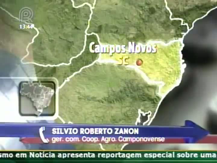 Metade da safra de trigo é perdida devido ao mal tempo em Santa Catarina