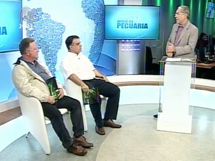 Dia 3, na quarta-feira vai ao ar leilão de cavalo árabe