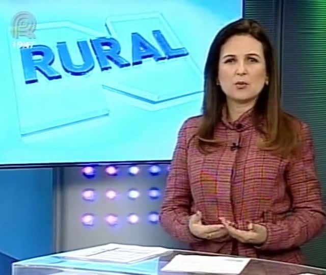 Eleitores do campo dizem o que esperam dos novos prefeitos