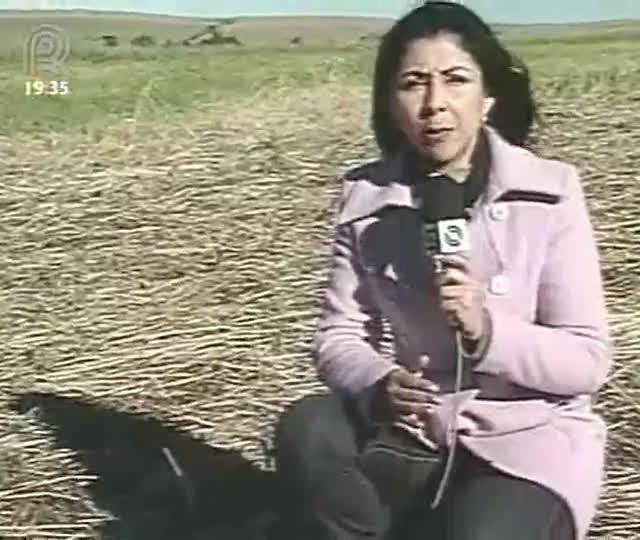 Geada preocupa agricultores do Rio Grande do Sul