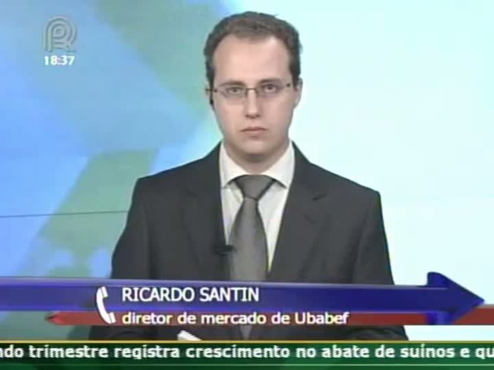 Houve aumento no preço do frango vivo, diz diretor de mercado da Ubabef