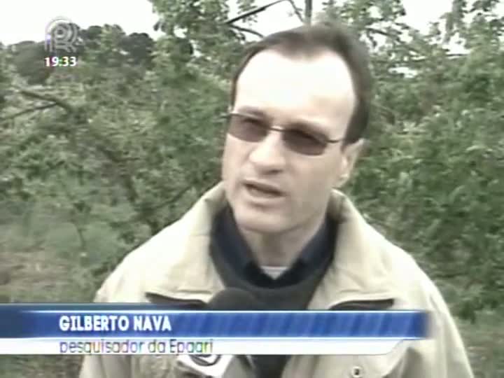 Frio e neve prejudicam agronegócio em Santa Catarina