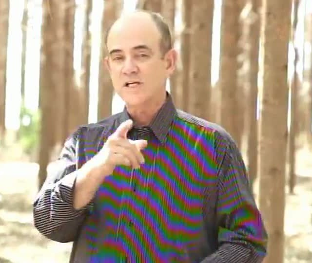 Programa destaca as séries Como Plantar e Um dia a dia no Viveiro