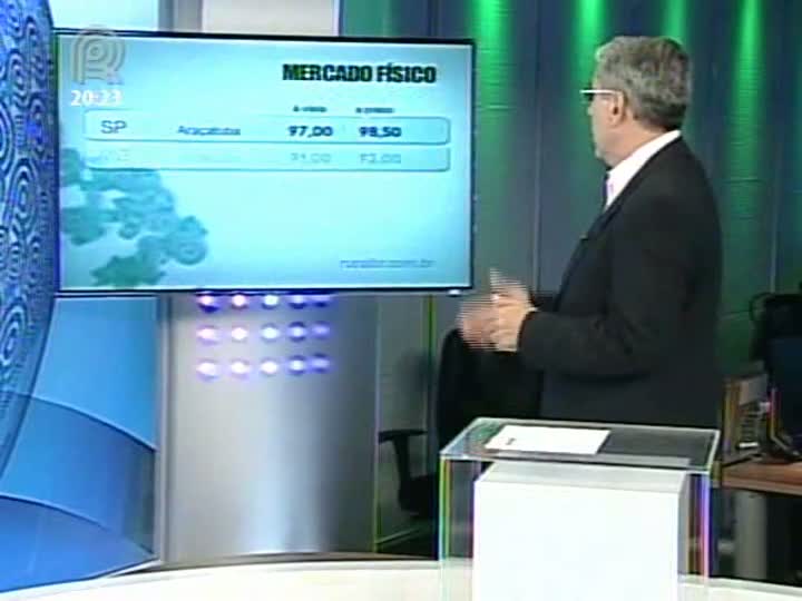 Scot Consultoria comenta sobre o mercado do boi gordo