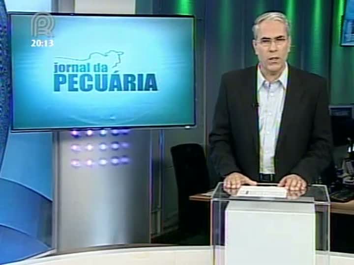 Scot Consultoria comenta sobre o mercado do boi gordo e a desvalorização da vaca gorda