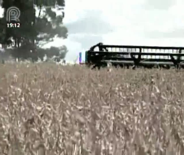 Empresários garantem continuidade nos investimentos mesmo com queda nos preços do milho e da soja
