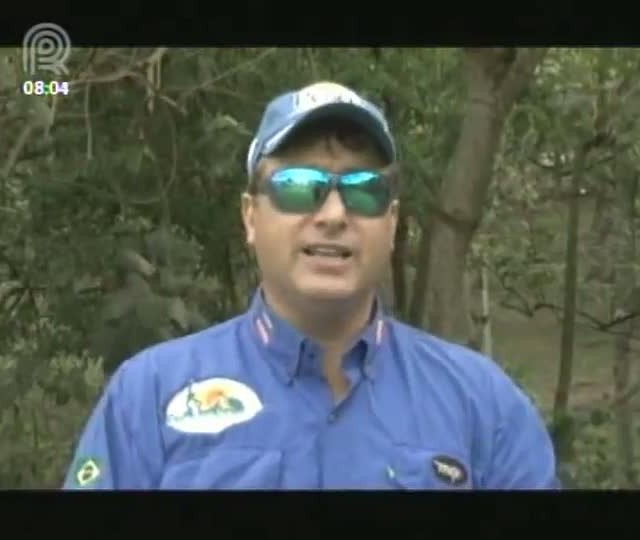 Veja a pesca de pirarara