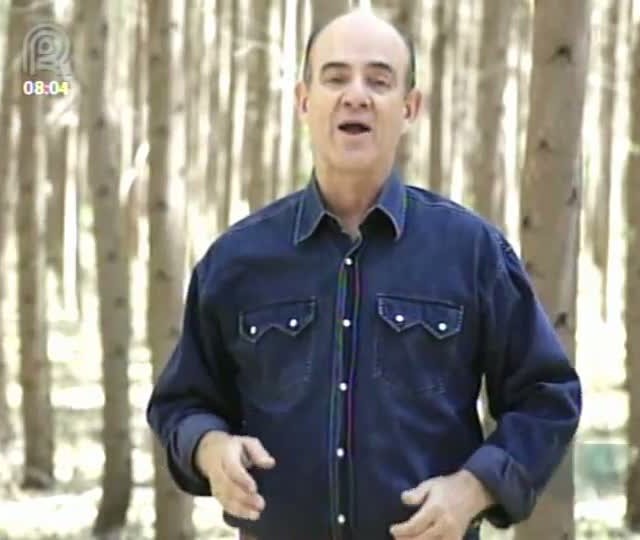 O programa aborda a silvicultura em Tocantins