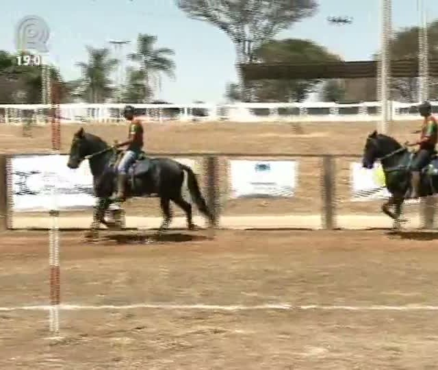 Criadores e expositores ficam satisfeitos com qualidade genética dos animais