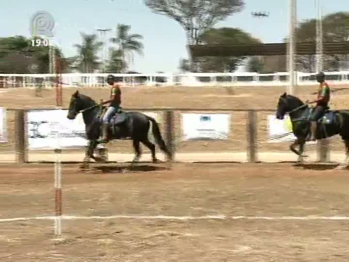 Criadores e expositores ficam satisfeitos com qualidade genética dos animais