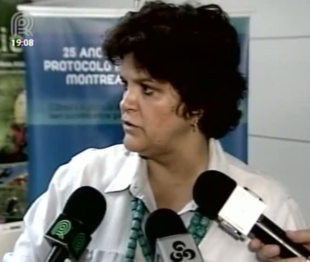 Izabella Teixeira diz que parlamentares buscam acordo para aprovação da medida provisória do Código Florestal