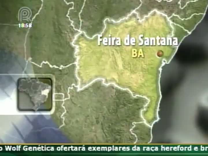 O pecuarista Cezar Augusto Ricci Mastorlorenzo fala sobre a situação vivida por pecuaristas