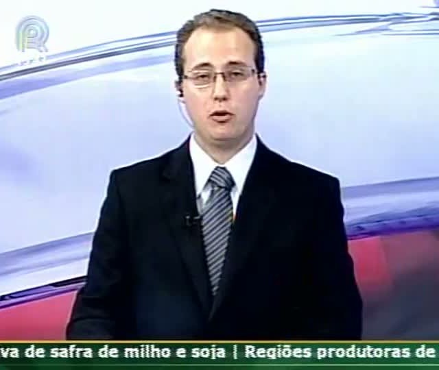 Três anos de chuva abaixo da média no município de Ipirá (BA) e produtores sofrem com falta de alimentação para os bovinos