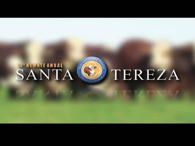 13° Remate Anual Santa Tereza