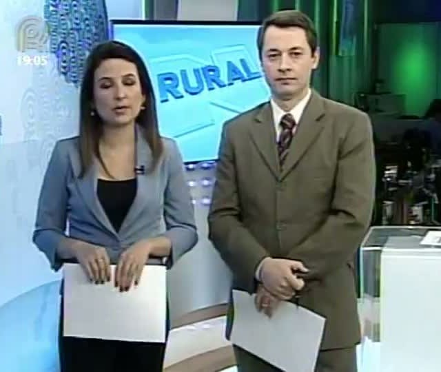Medida Provisória do Código Florestal pode ser votada nesta quarta, dia 5