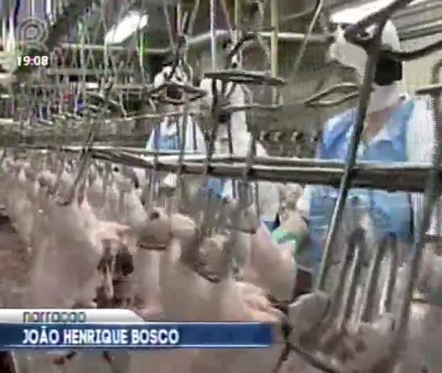 Exportação de carne de aves deve se recuperar