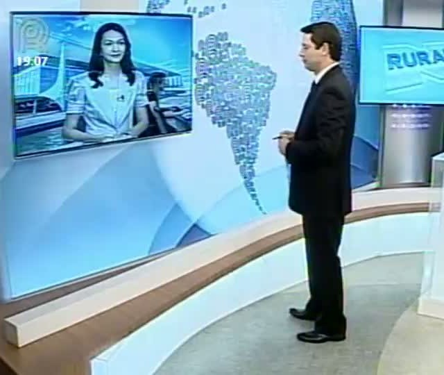 Cerrado registra alto número de queimadas