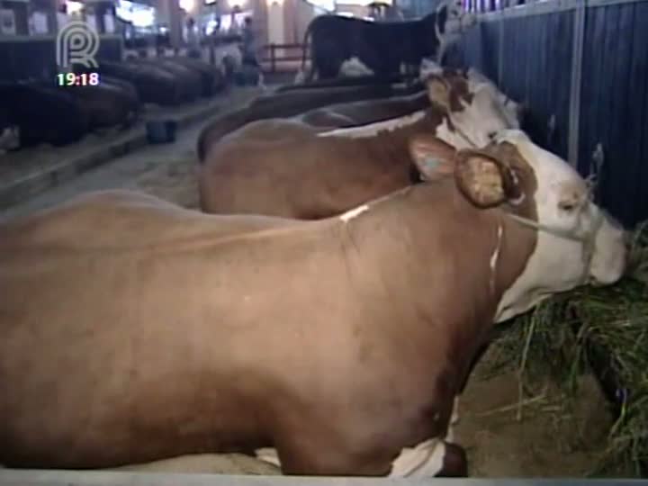 Vendas de animais na Expointer devem superar números de 2011