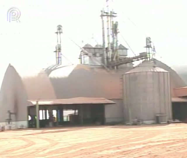 Cooperativismo chama atenção dos produtores de soja