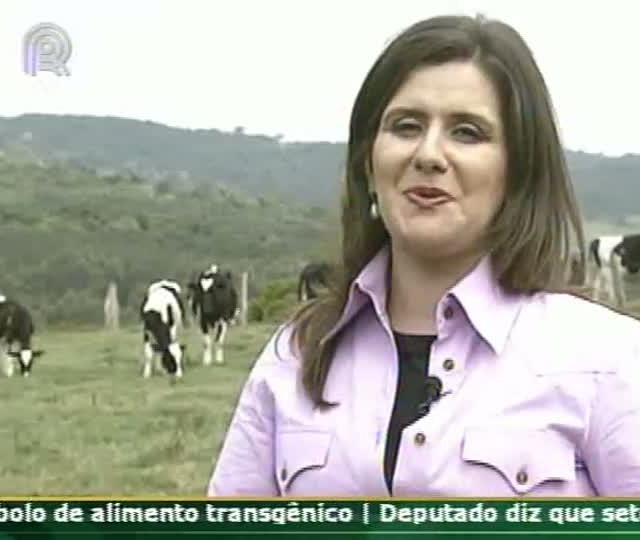 Inseminação artificial melhora produtividade do rebanho leiteiro