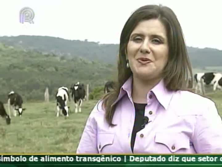 Inseminação artificial melhora produtividade do rebanho leiteiro