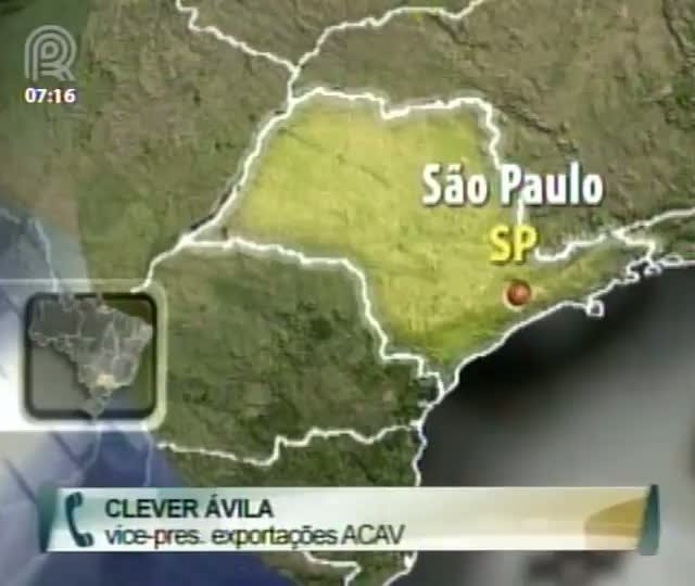 Clever Ávila fala sobre a crise no setor aviário do país