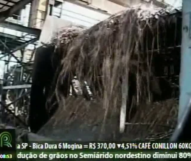 Etanol: Perspectiva é de demanda mais aquecida, segundo analista de mercado