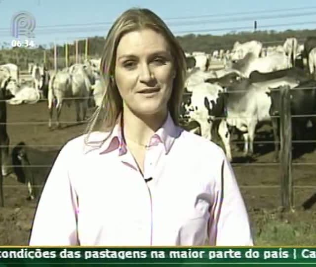 Conheça os cuidados em relação à nutrição dos animais confinados