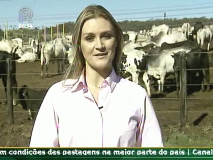 Conheça os cuidados em relação à nutrição dos animais confinados