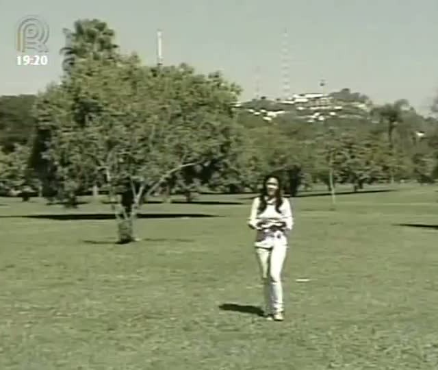 Preços pagos pelo trigo apresentam alta no Rio Grande do Sul