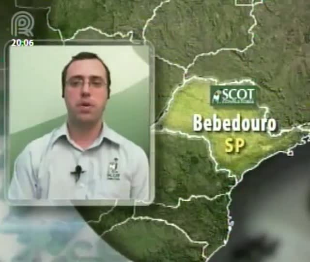 Saiba mais sobre o mercado de reposição