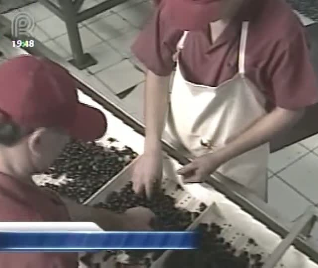 Projeto de lei quer regularizar produção de bebidas artesanais