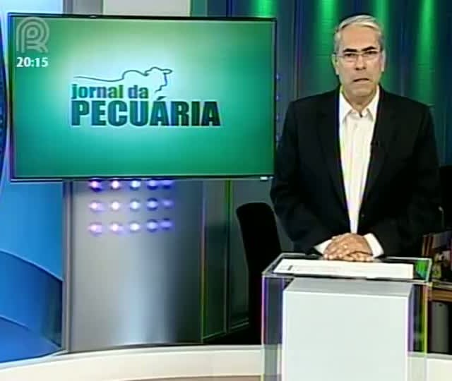 Milho da região oeste da Bahia abastece estados do nordeste