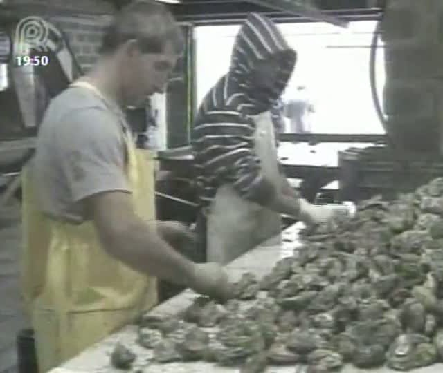 Está mais fácil encontrar frutos do mar em supermercados catarinenses Está mais fácil encontrar frutos do mar em supermercados catarinenses
