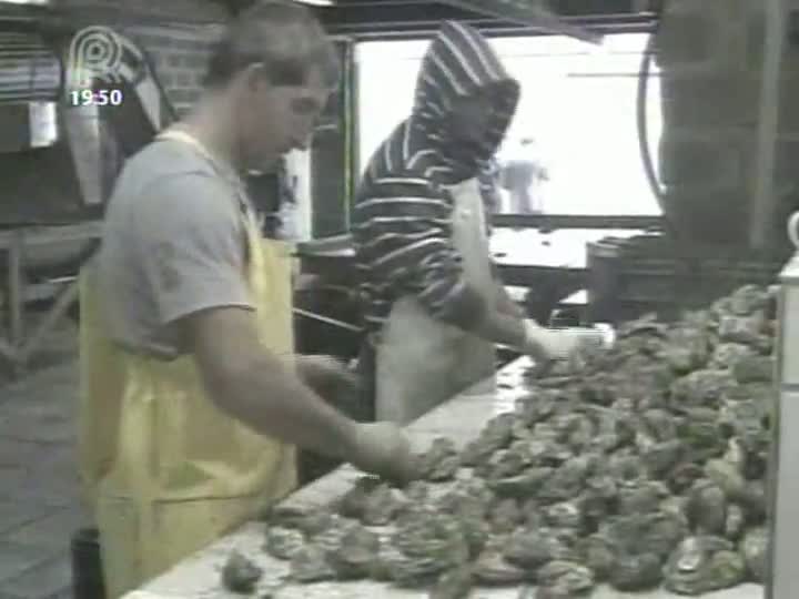 Está mais fácil encontrar frutos do mar em supermercados catarinenses