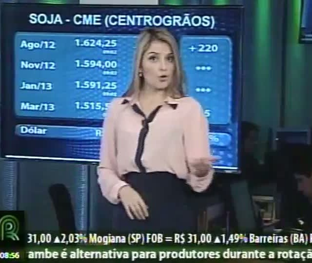 Suinocultora: Preço do milho segue preocupando setor