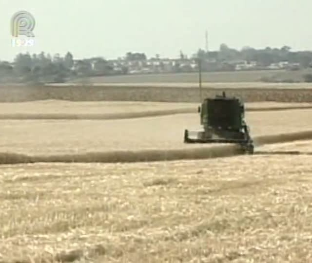 Congresso Brasileiro do Agronegócio discute perspectivas para o país