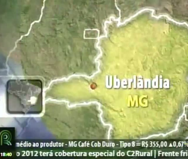 Metade das lavouras de milho nos Estados Unidos estão em más condições