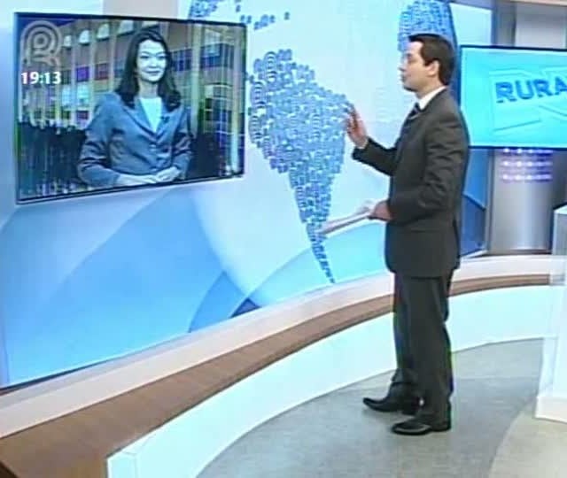 Desmatamento na Amazônia diminui, mas situação preocupa em alguns estados