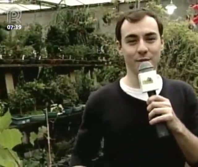 Dicas de adubagem para plantas frutíferas