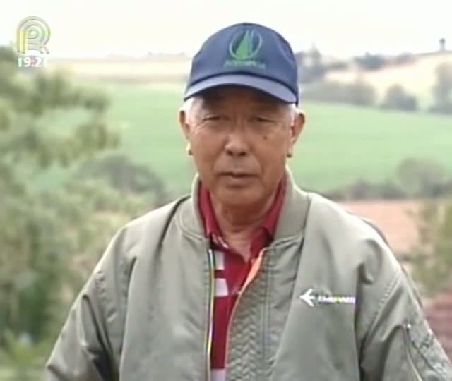 Pesquisadores desenvolvem cultivares com ciclos mais precoces