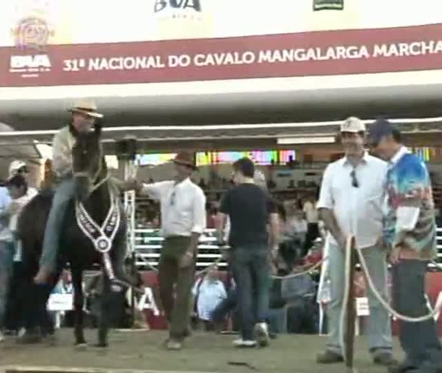 Confira os resultados da Exposição Nacional