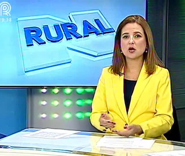 PR: Produtores não garantem o seguro rural para a safra de inverno