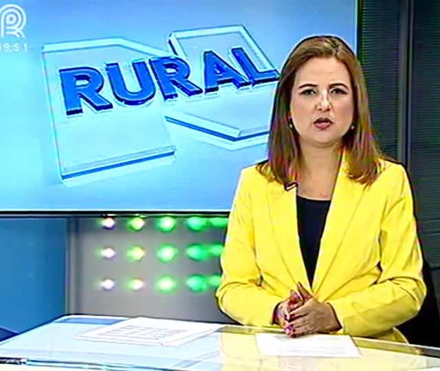 Fungo pode comprometer a safra de uva do Rio Grande do Sul