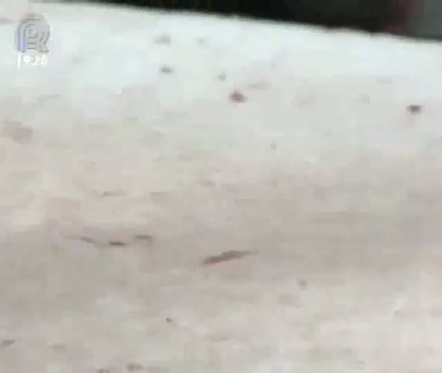 Rio Grande do Sul importa carne de outros estados